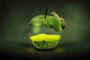 深度扫描·黑料社app下载官网·高光瞬间｜收藏级干货