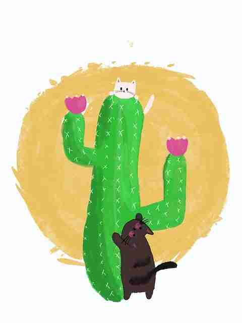 黑料不打烊回应男团成员夜店照曝光,黑料不打烊关了吗