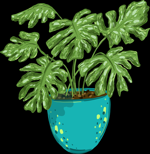 糖心vlog在线教学音画交织解析?绚烂!燃爆现场