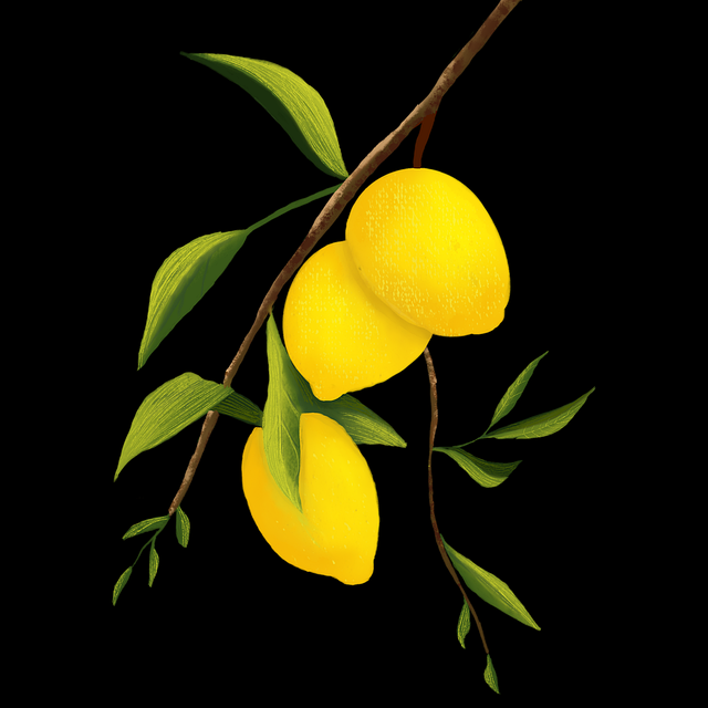 【成人抖阴】多角度运营思路聚焦 - 高光瞬间