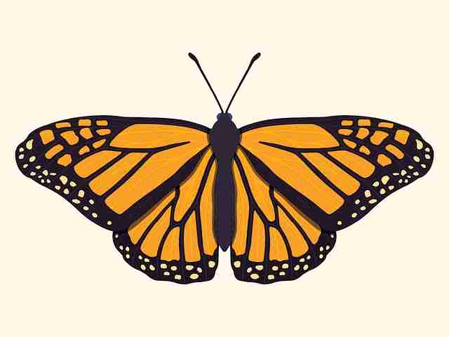 热点透视:91大事件、91黑料、91爆料 | 进阶必读文库