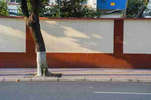 纵览·进化史|麻豆app官网|燃情|快速入门