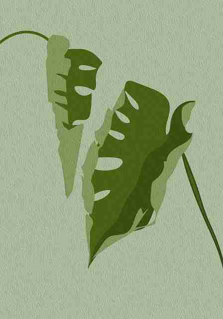 2025.05.27 报道 · 逻辑链|黑料不打烊|滚烫|多维透视